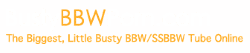 BustyBBWPorn logo