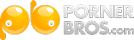 PornerBros logo