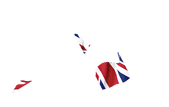BritishWebcamBabes logo