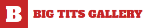 BigTitsGallery.net logo