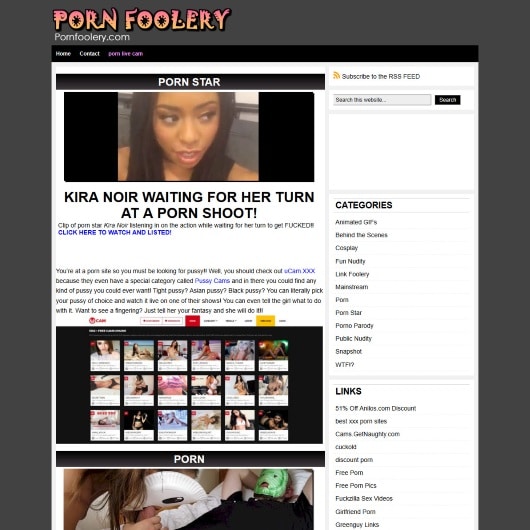 Porn blog video