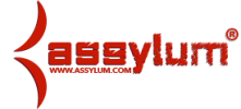 Assylum logo
