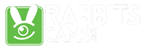 RabbitsCams logo